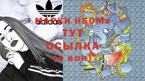 стаф Осинники